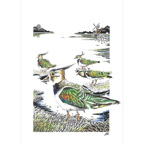 Kevin Cook, Lapwings, Fine Art Greeting Card