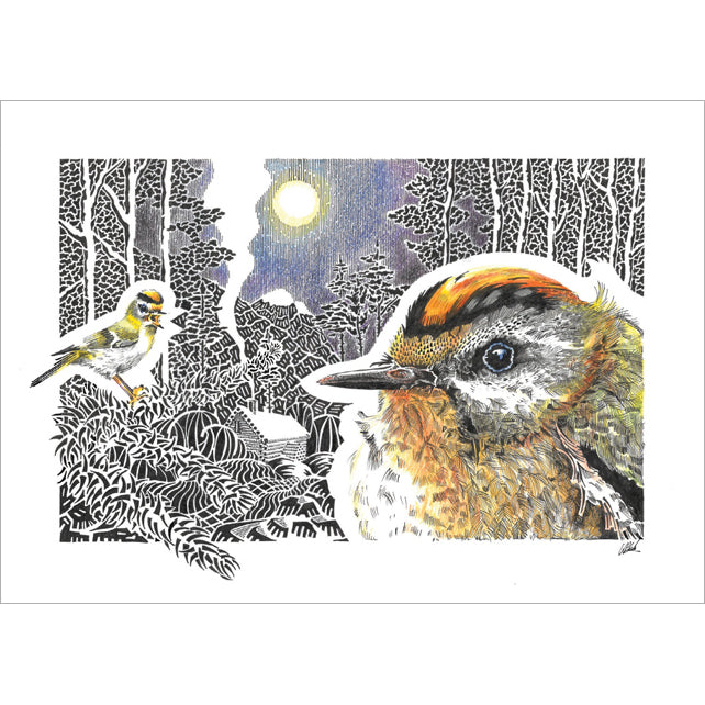 Kevin Cook, Woodland Firecrests, Fine Art Greeting Card