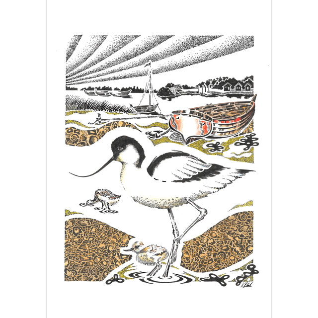 Kevin Cook, Pied Avocet with Chicks. Blank Art Card