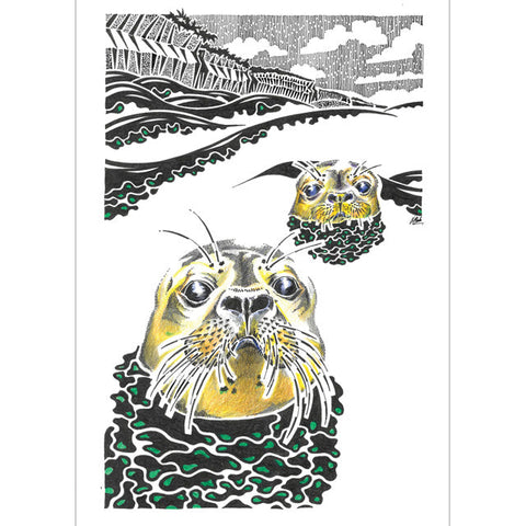 Kevin Cook, Inquisitive Grey Seals, Fine Art Greeting Card