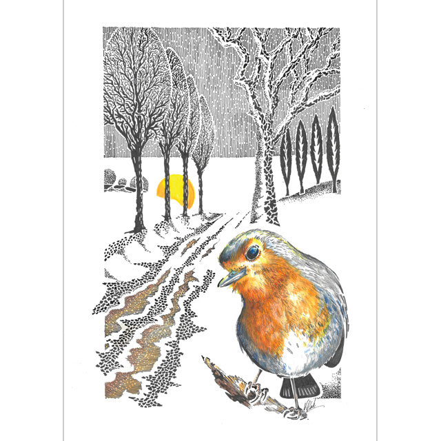 Kevin Cook, Robin In Wnter, Fine Art Greeting Card