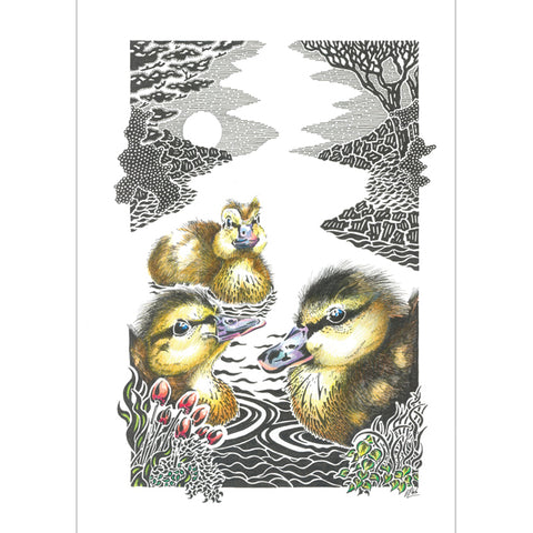 Kevin Cook, Three Little Ducklings, Fine Art Greeting Card