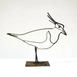 Lapwing