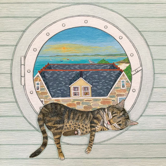 The Porthole Cat