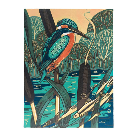 Kingfisher