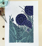 Giant Alliums 2