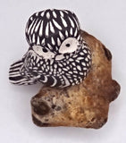 owl on rock top down