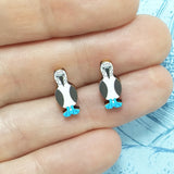 Blue Footed Booby Earrings