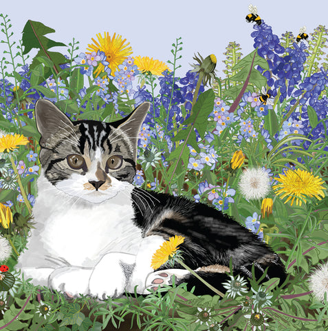 Mig Wyeth, Kitten, Fine Art Greeting Card