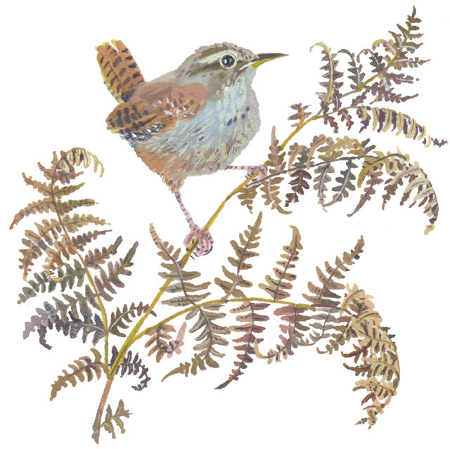 Mary Woodin, Blank Greeting Card