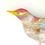 Painted Songbird close up 2 1024