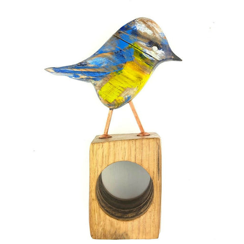 Lively Blue tit 1024