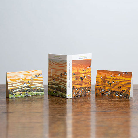 Rob Barnes, Riverside Oystercatchers + Salt Marsh At Low Tide, Set of note cards