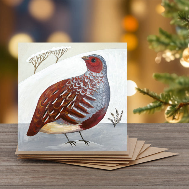 Portly Partridge - Set of 6 Christmas Note Cards with Message