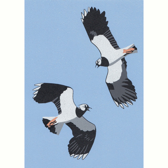 Nick Wonham, Lapwing Display, FIne Art Greeting Card