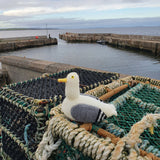 big jeff at john o groats