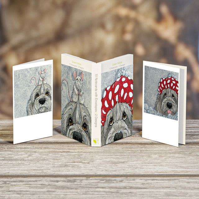 Bev Davies, Bubble + Squeak, Boxed Note Pack
