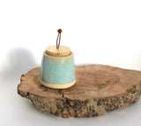 IMG_2156 flecked sw lidded pot pine lid 2