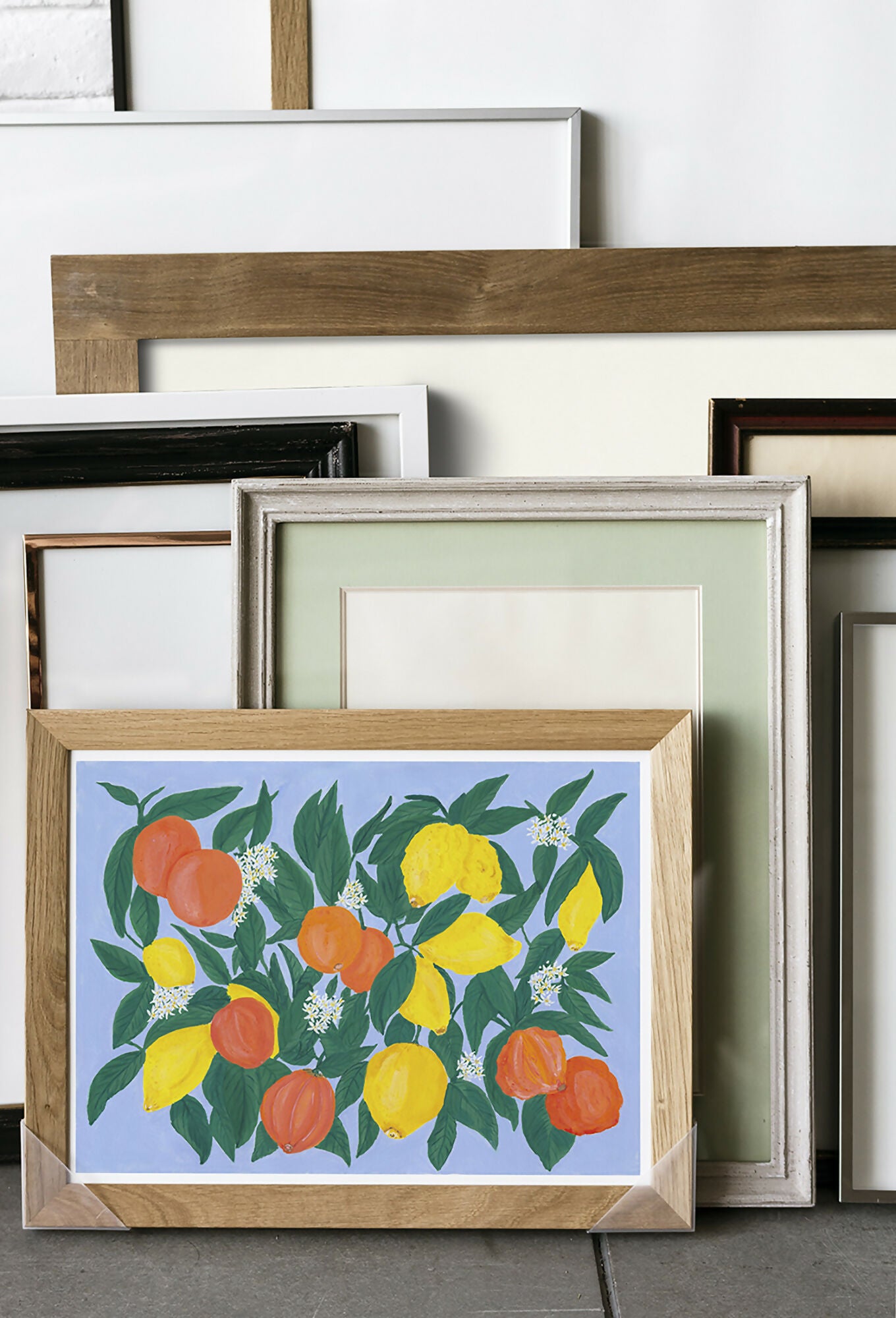 Citrus Collection Oranges and Lemons Horizontal Fine Art Print