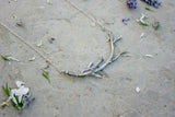 Silver Branch Necklace Curious Magpie 1