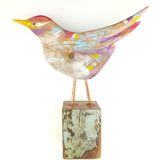 Painted Songbird front 1024