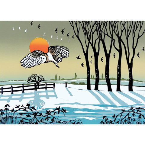 Rob Barnes, Barn Owl in Winter, Fine Art Greeting Card