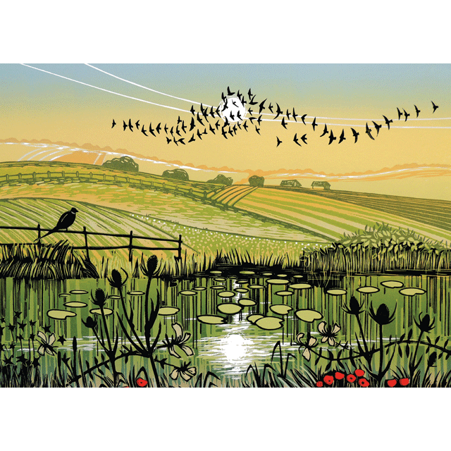 Farm Pond