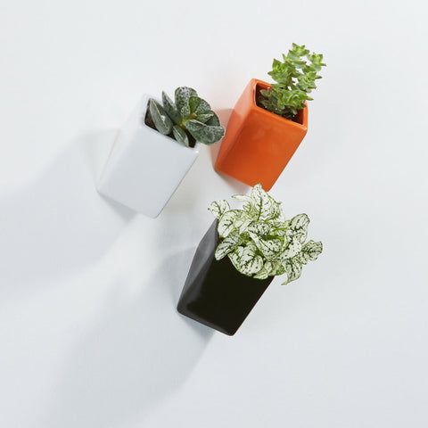 Off the Wall pots - small - lifestyle-Thelermont Hupton