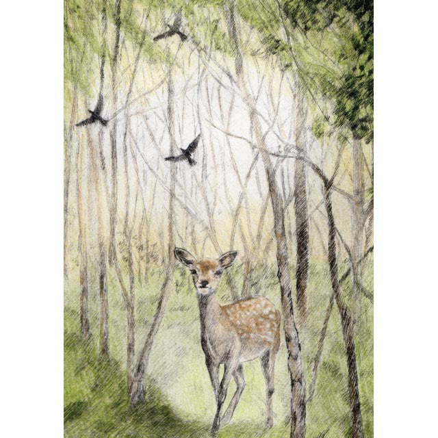Sarah Bays, Tread Softly (Deer), Blank Art Card