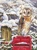 Barn Owl on Post Box - Lithographic Print