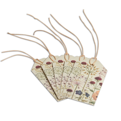  Catriona Hall - Garden Fireworks - Set of 5 gift tags