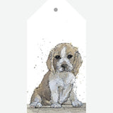 TAG BD1 01 - Pup - Set of 5 gift tags