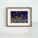 Jewels in The Fen - Art Print