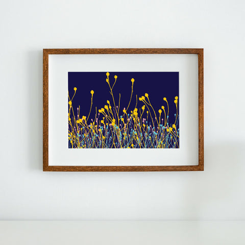 Jewels in The Fen - Art Print