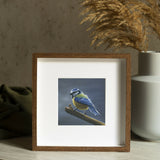 bluetit3