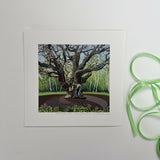 The Major Oak, Nottinghamshire - Giclee Print