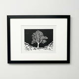 Snowy Gap framed f