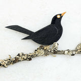 Blackbird - Hand Painted Brooch