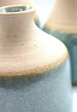 IMG_2084 aqua flecked vase close up