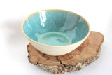 IMG_2138 flecked sw bowl glaze inside 2