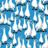 Gannets - Gift Wrap - Sheet