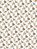 Winter Creatures - Gift Wrap - Sheet