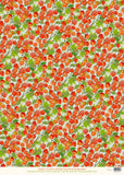 Physalis - Gift Wrap - Sheet
