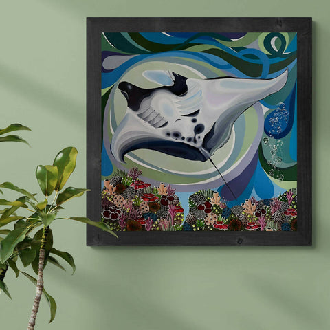 Manta Ray