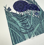 Giant Alliums 1