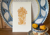 Susie Hetherington_June_0009_Layer 2