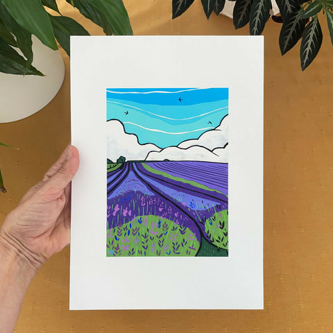 The Lavender Fields