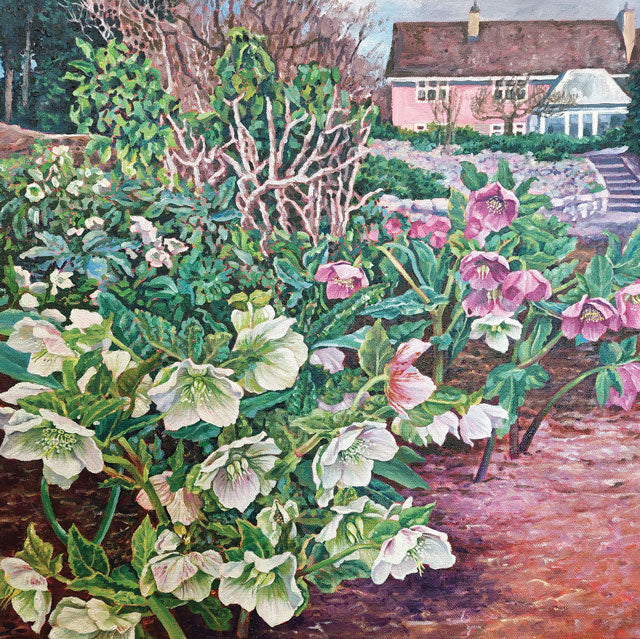 Zoe Norman, Abundance of Hellebores, Fine Art Greeting Card