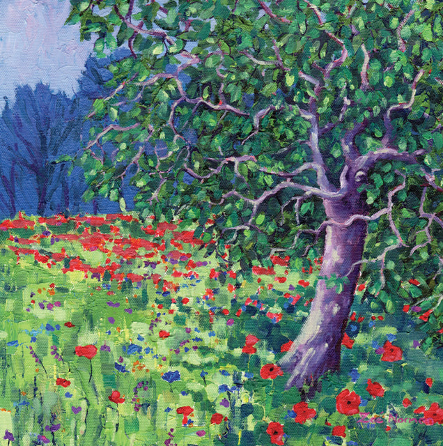 Poppy Meadow