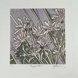 Ragged Robin 3